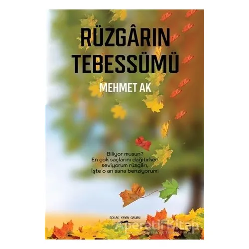 Rüzgarın Tebessümü - Mehmet Ak - Sokak Kitapları Yayınları