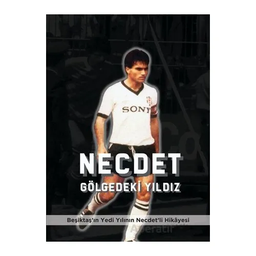 Necdet Gölgedeki Yıldız - İlker Pırlant - Kırk Yayınevi