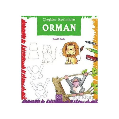 Çizgiden Resimlere - Orman - Rosa Maria Curto - 1001 Çiçek Kitaplar