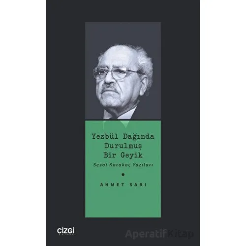 Yezbül Dağında Durulmuş Bir Geyik - Ahmet Sarı - Çizgi Kitabevi Yayınları