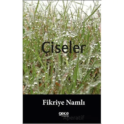 Çiseler - Fikriye Namlı - Gece Kitaplığı