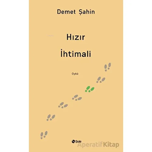 Hızır İhtimali - Demet Şahin - Şule Yayınları