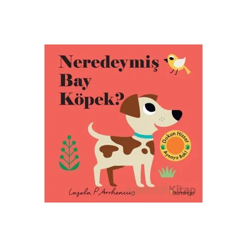 Neredeymiş Bay Köpek? - Kolektif - Domingo Yayınevi
