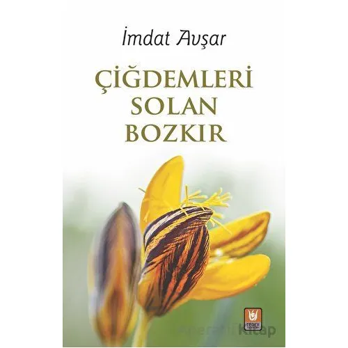 Çiğdemleri Solan Bozkır - İmdat Avşar - Tedev Yayınları