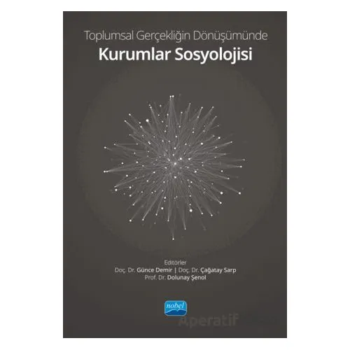 Toplumsal Gerçekliğin Dönüşümünde Kurumlar Sosyolojisi - Kolektif - Nobel Akademik Yayıncılık