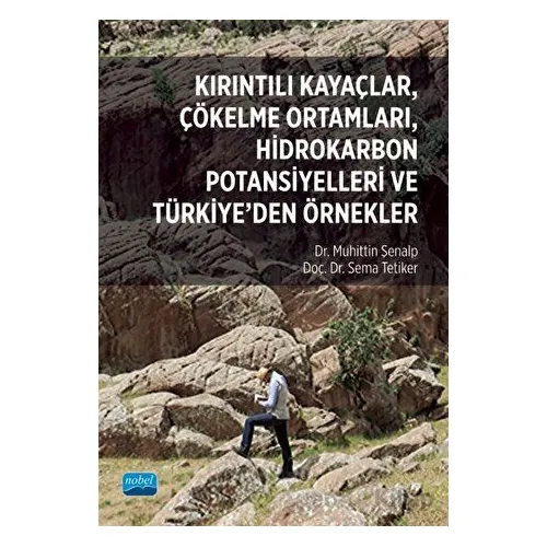 Kırıntılı Kayaçlar, Çökelme Ortamları, Hidrokarbon Potansiyelleri ve Türkiye’den Örnekler
