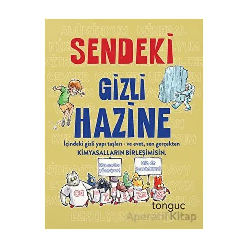 Gizli Hazine Serisi Sendeki Gizli Hazine Tonguç Yayınları
