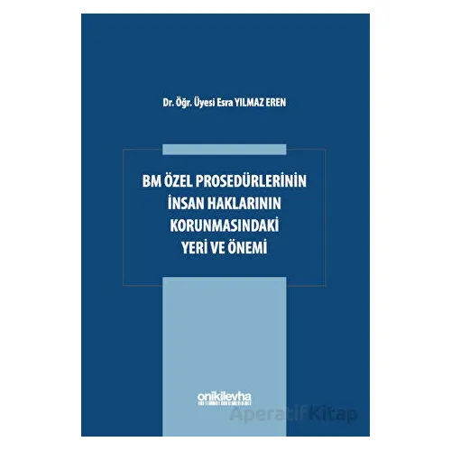 BM Özel Prosedürlerinin İnsan Hakları Korumasındaki Yeri ve Önemi