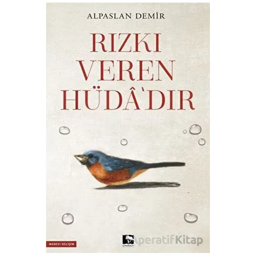 Rızkı Veren Hüdadır - Alpaslan Demir - Çınaraltı Yayınları