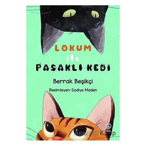 Lokum ile Pasaklı Kedi - Berrak Beşikçi - Sia Kitap