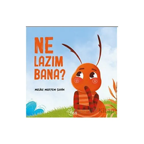 Ne Lazım Bana - Melike Meryem Şahin - Tulu Kitap