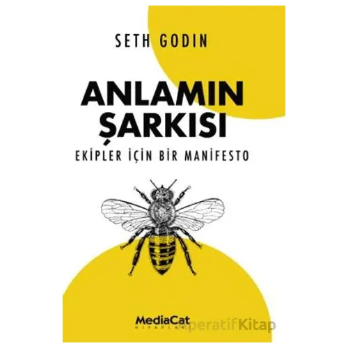 Anlamın Şarkısı - Seth Godin - MediaCat Kitapları