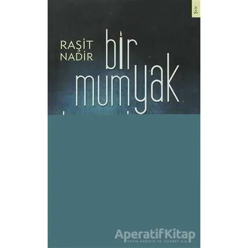 Bir Mum Yak Karanlığıma - Raşit Nadir - Bizim Kitaplar Yayınevi