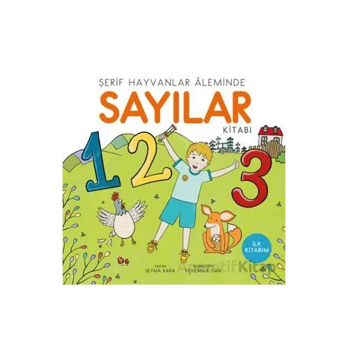 Sayılar - Şeyma Kara - Uçan Kitap