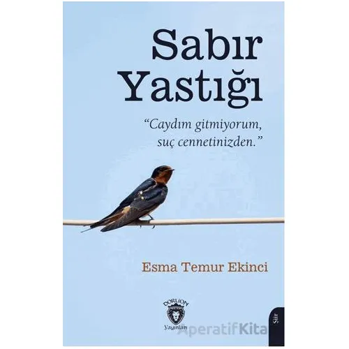 Sabır Yastığı - Esma Temur Ekinci - Dorlion Yayınları