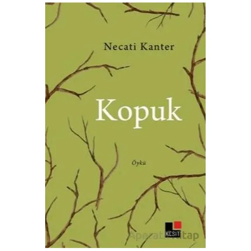 Kopuk - Necati Kanter - Kesit Yayınları
