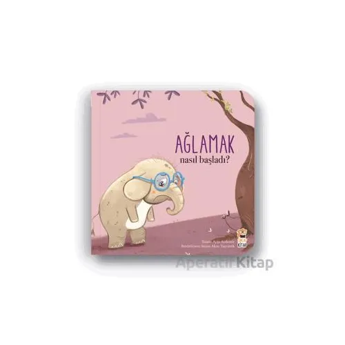 Nasıl Başladı? - Ağlamak - Ayşe Aydemir - Sincap Kitap