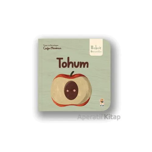 Tohum - Çağrı Odabaşı - Sincap Kitap