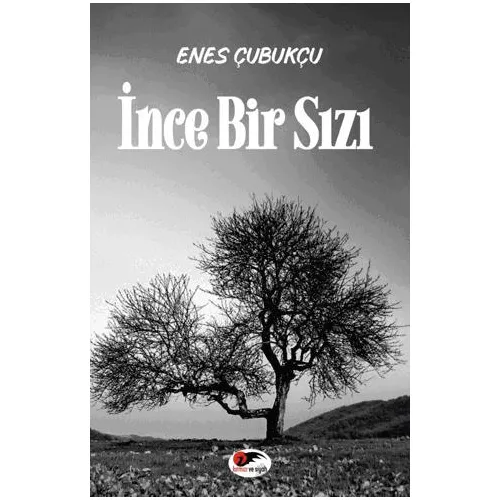İnce Bir Sızı - Enes Çubukçu - Kırmızı ve Siyah Yayınevi