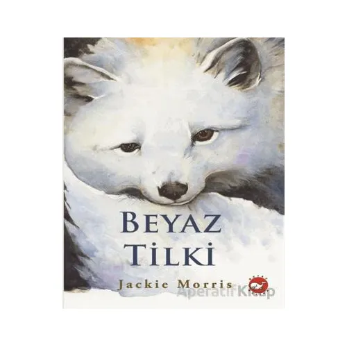Beyaz Tilki - Jackie Morris - Beyaz Balina Yayınları