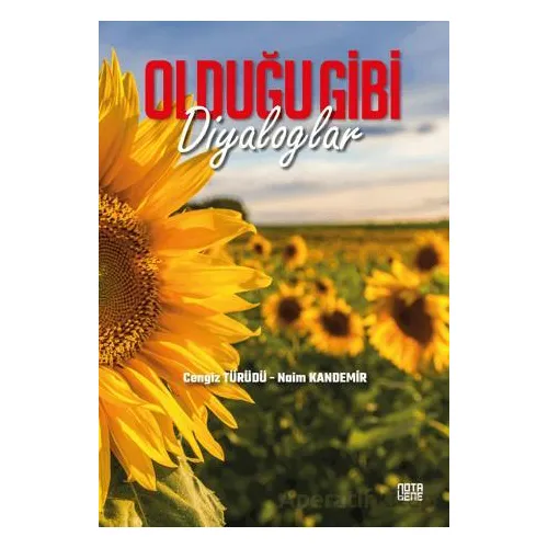 Olduğu Gibi Diyaloglar - Naim Kandemir - Nota Bene Yayınları