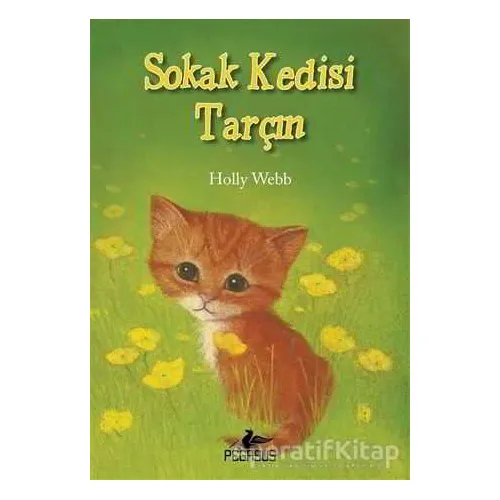 Sokak Kedisi Tarçın - Holly Webb - Pegasus Çocuk Yayınları