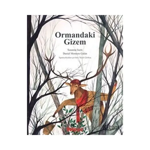 Ormandaki Gizem - Susanna Isern - Hippo Yayınları