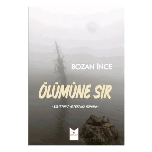 Ölümüne Sır - Bozan İnce - Serencam Yayınevi