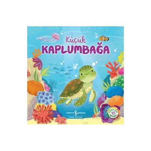 Küçük Kaplumbağa - Wednesday Jones - İş Bankası Kültür Yayınları