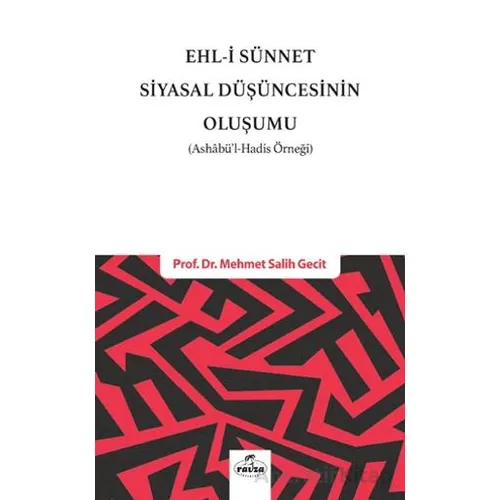 Ehl-i Sünnet Siyasal Düşüncesinin Oluşumu - Mehmet Salih Gecit - Ravza Yayınları