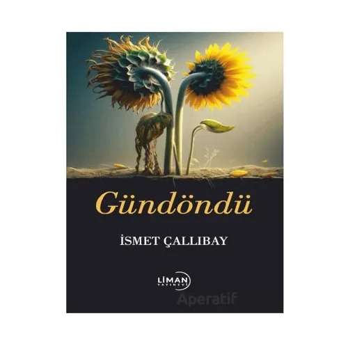Gündöndü - İsmet Çallıbay - Liman Yayınevi