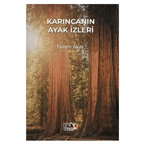 Karıncanın Ayak İzleri - Ekrem Akay - Tilki Kitap