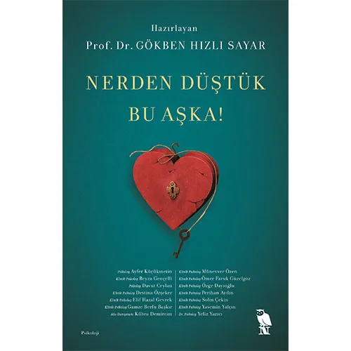 Nerden Düştük Bu Aşka! - Gökben Hızlı Sayar - Nemesis Kitap