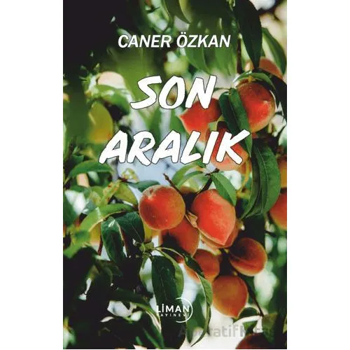 Son Aralık - Caner Özkan - Liman Yayınevi