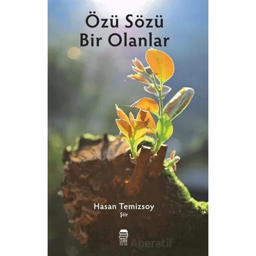Özü Sözü Bir Olanlar - Hasan Temizsoy - Ceren Kitap