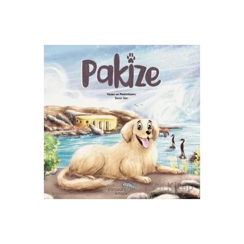 Pakize - Betül İlter - Paraşüt Kitap