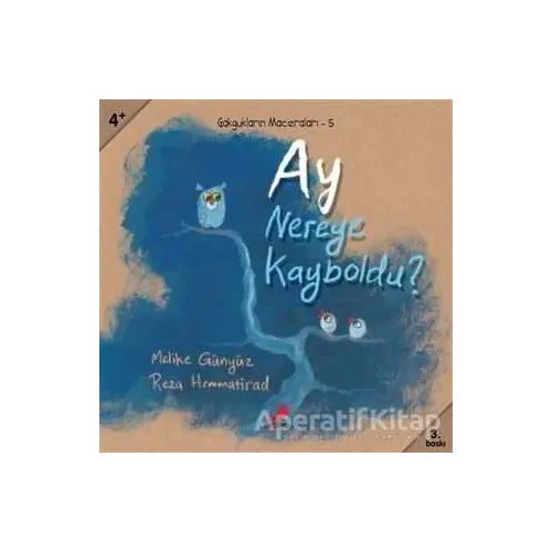 Ay Nereye Kayboldu? - Reza Hemmatirad - Erdem Çocuk
