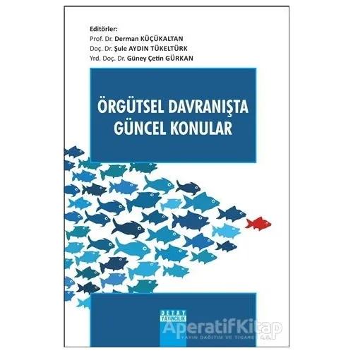 Örgütsel Davranışta Güncel Konular - Derman Küçükaltan - Detay Yayıncılık