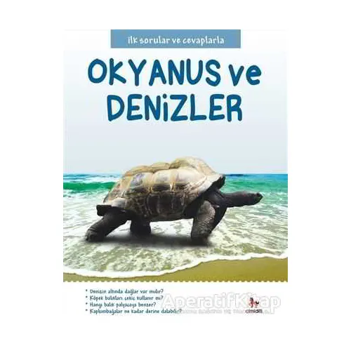 Okyanuslar ve Denizler - Belinda Gallagher - Almidilli