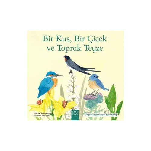 Bir Kuş, Bir Çiçek ve Toprak Teyze - Cecile Roumiguiere - 1001 Çiçek Kitaplar