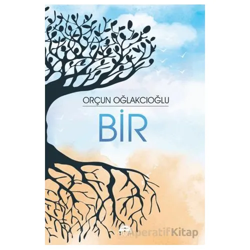 Bir - Orçun Oğlakçıoğlu - Martı Yayınları