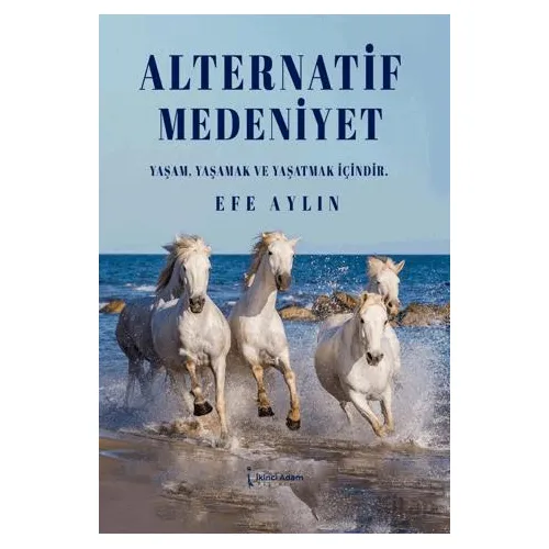 Alternatif Medeniyet - Efe Aylın - İkinci Adam Yayınları