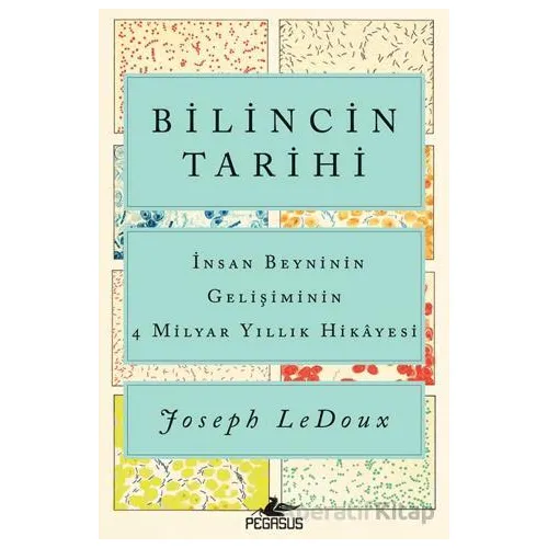 Bilincin Tarihi: İnsan Beyninin Gelişiminin 4 Milyar Yıllık Hikayesi