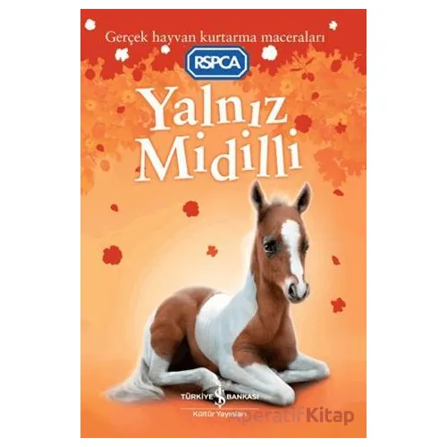 Yalnız Midilli - Sarah Hawkins - İş Bankası Kültür Yayınları