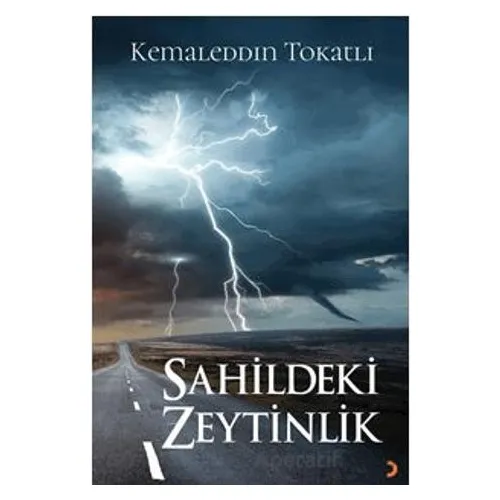 Sahildeki Zeytinlik - Kemaleddin Tokatlı - Cinius Yayınları