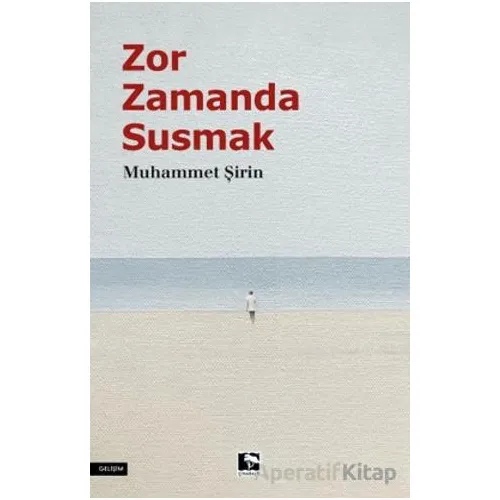 Zor Zamanda Susmak - Muhammet Şirin - Çınaraltı Yayınları