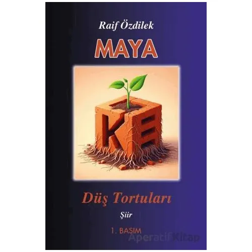 Maya - Düş Tortuları - Raif Özdilek - Tunç Yayıncılık