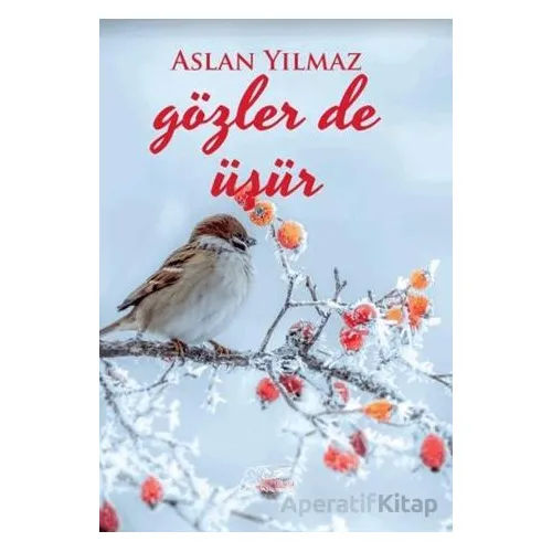 Gözler de Üşür - Aslan Yılmaz - Kuytu Yayınları