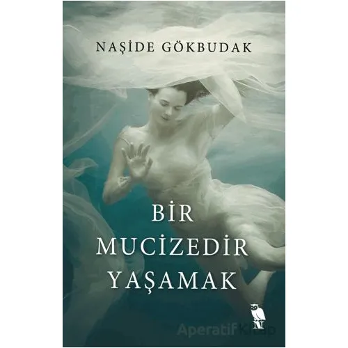 Bir Mucizedir Yaşamak - Naşide Gökbudak - Nemesis Kitap