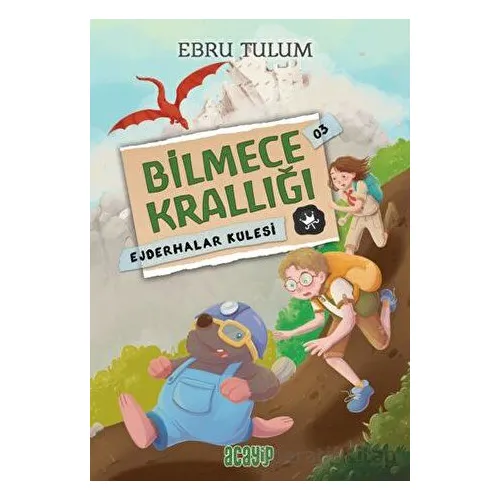 Ejderhalar Kulesi - Ebru Tulum - Acayip Kitaplar